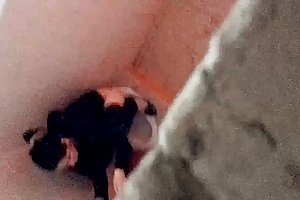 Вьетнам шпион туалет трахнул спящую тетю порно видео