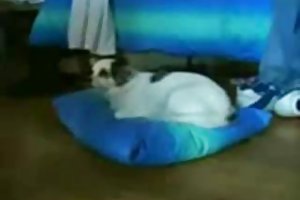 Секс инвалид в инвалидной коляске по сиськи старух порно