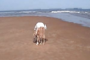 Симпатичный кустик самое яркое порно